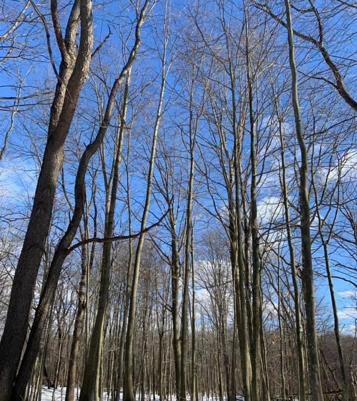 Knox Farm State Park景点图片