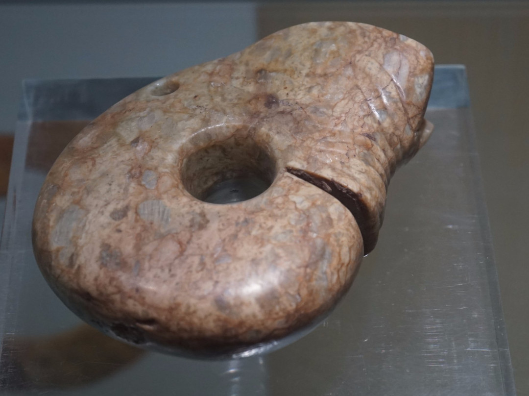 两周遗址文物陈列馆-韩城市必去景点