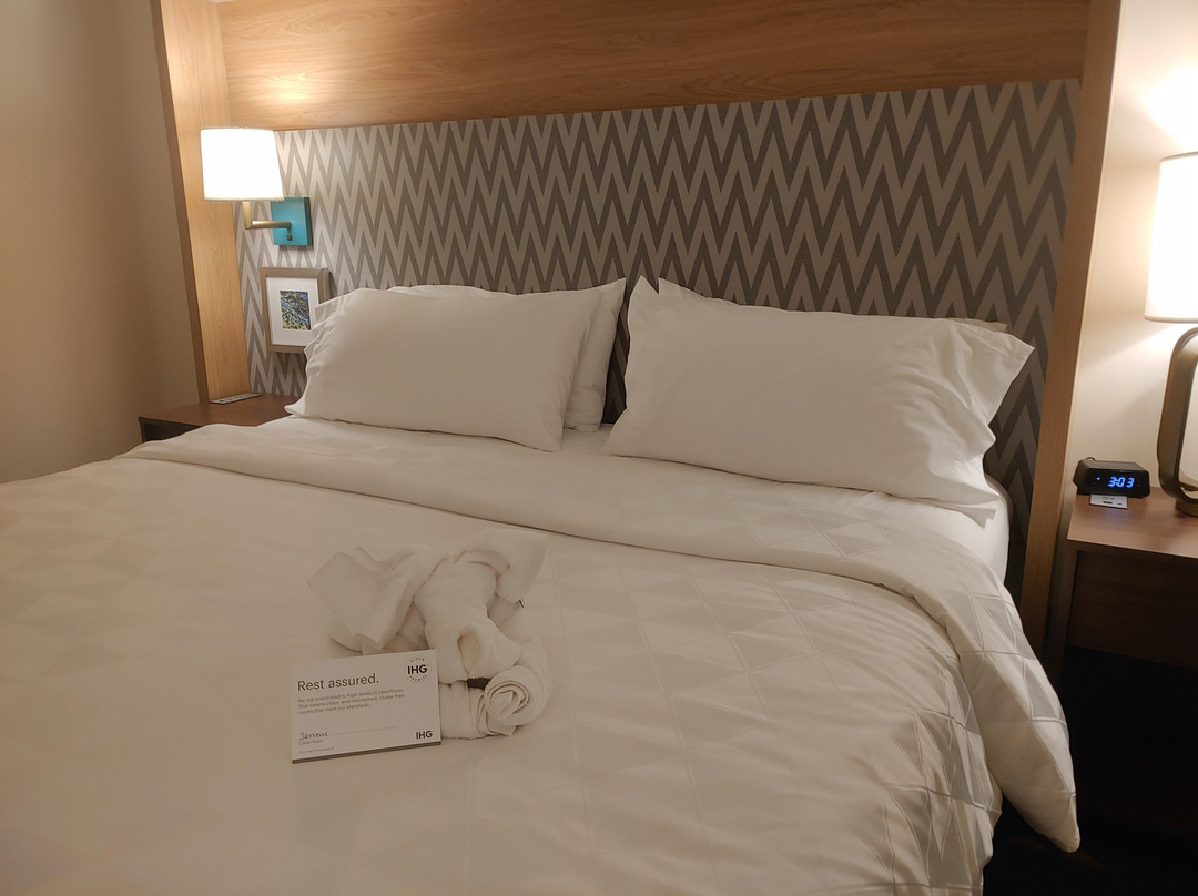 Holiday Inn & Suites Ann Arbor Univ. Michigan Area By IHG