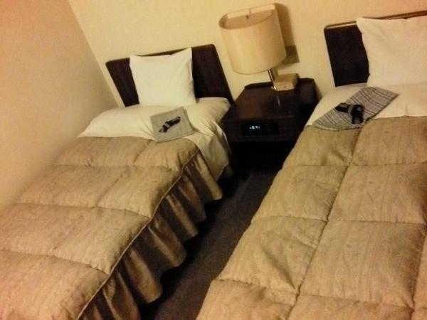 小诸皇家酒店-客卧