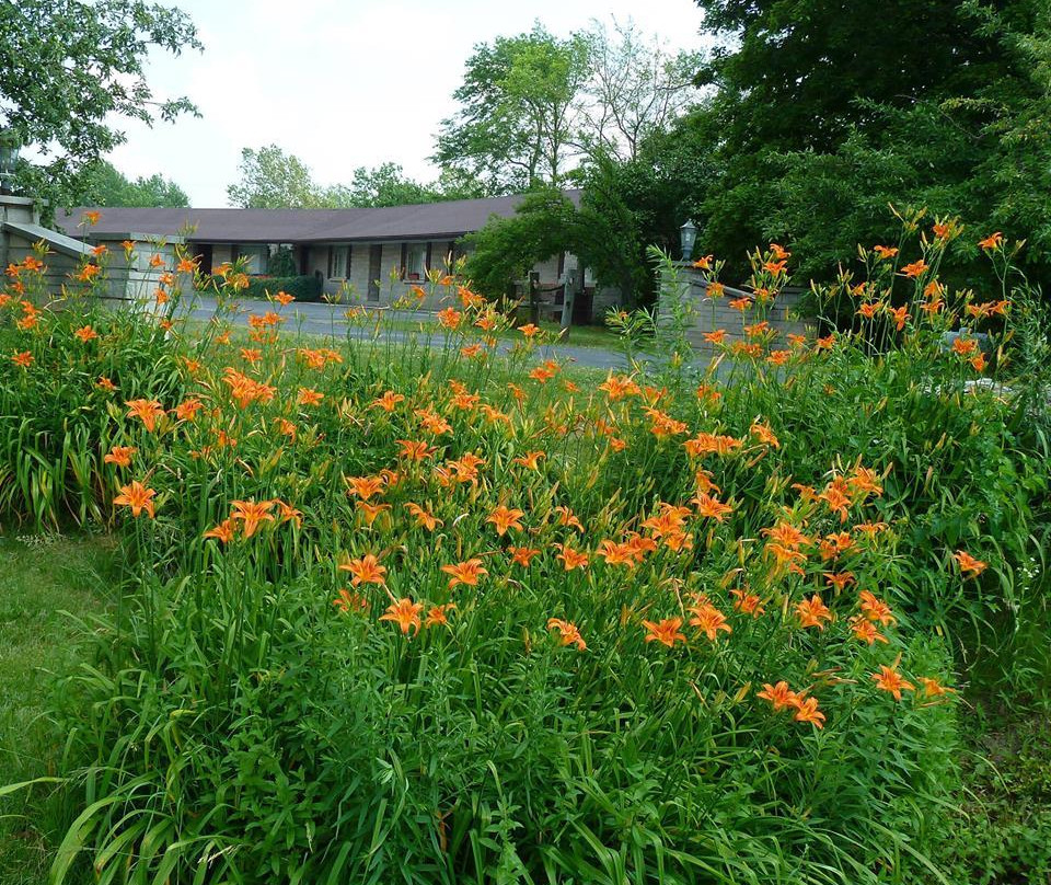 New Paris酒店住宿-The Golden Inn