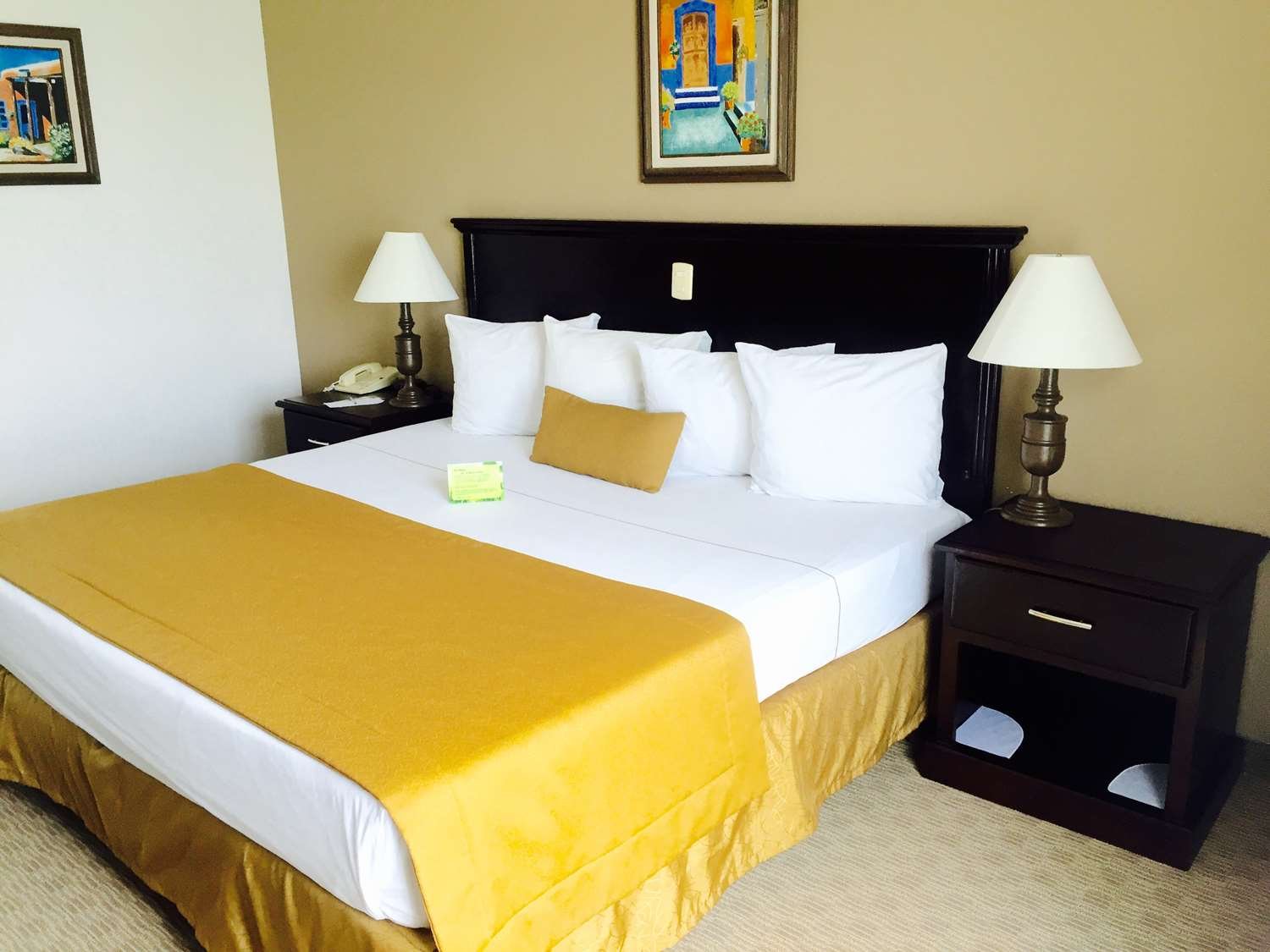 Best Western Hotel Posada Del Rio Express-官方