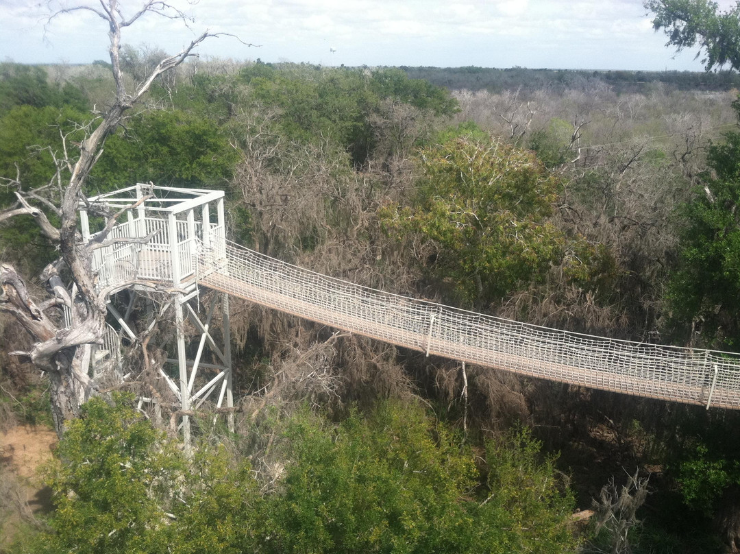 Alamo旅游攻略图片