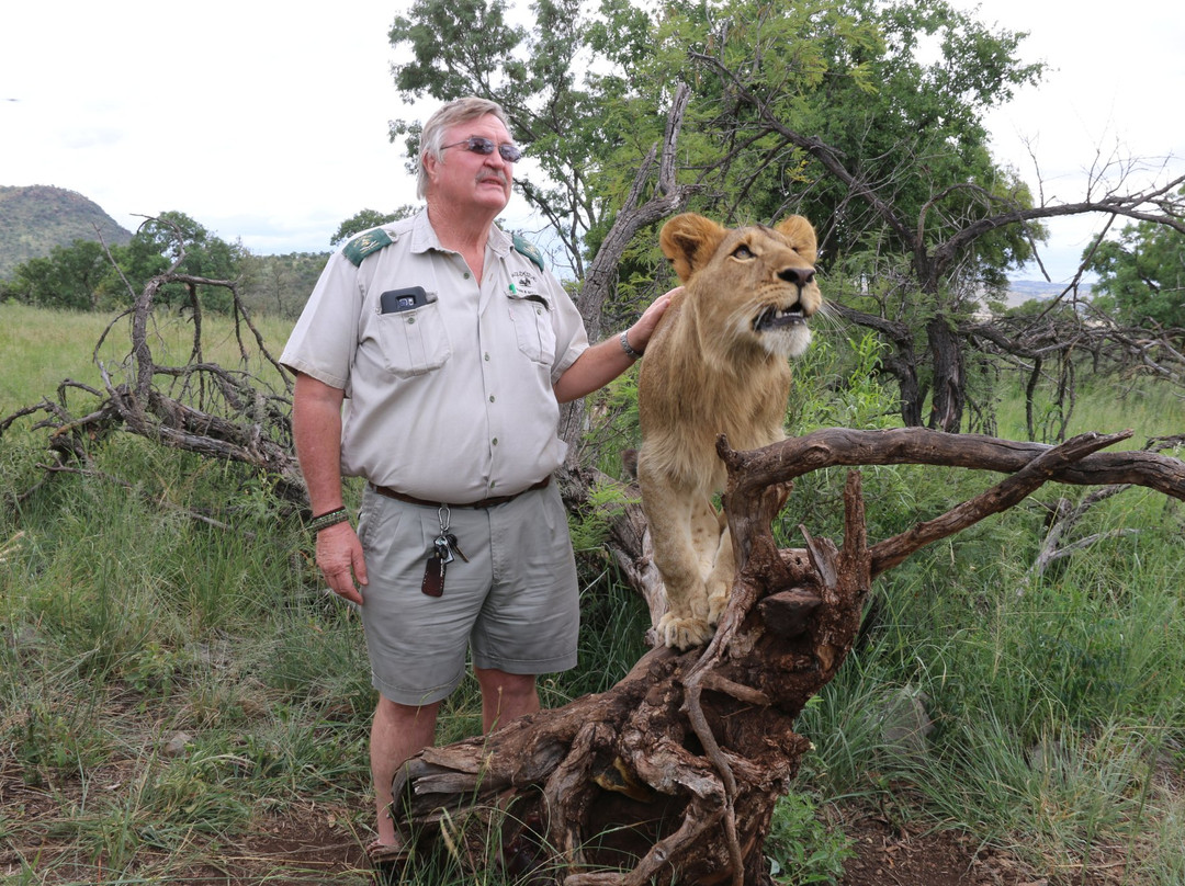 Wildside Tours and Safaris - Day Tours景点图片