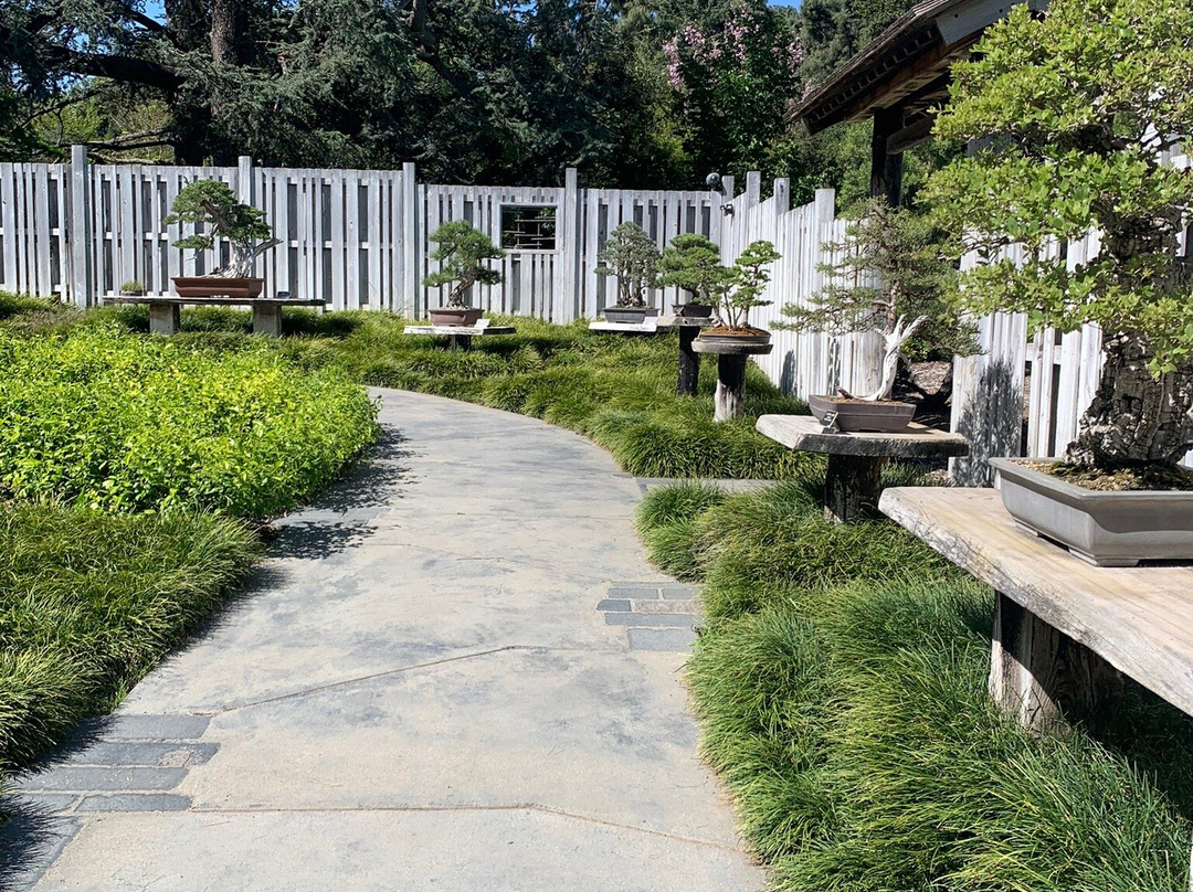 Huntington Japanese Garden-圣玛利诺必去景点