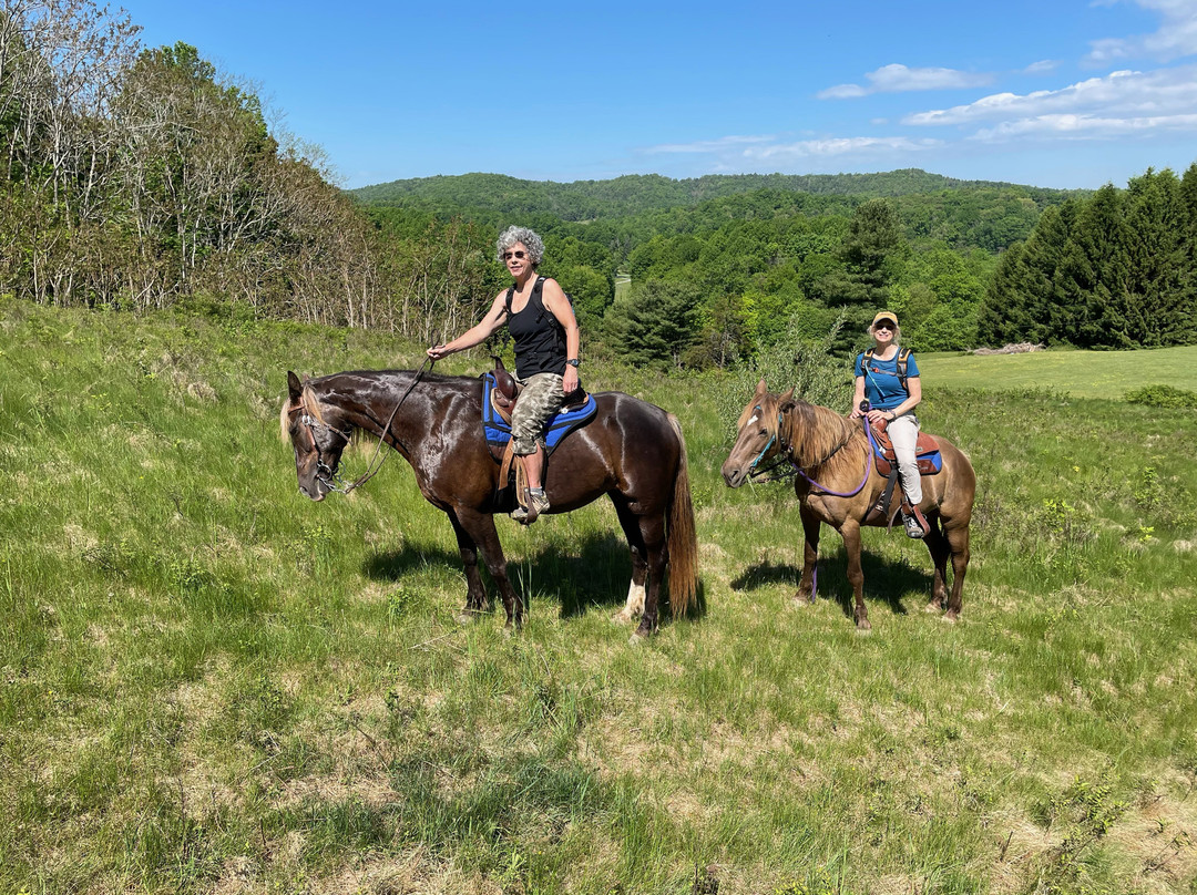 Appalachian Horse Adventures景点图片