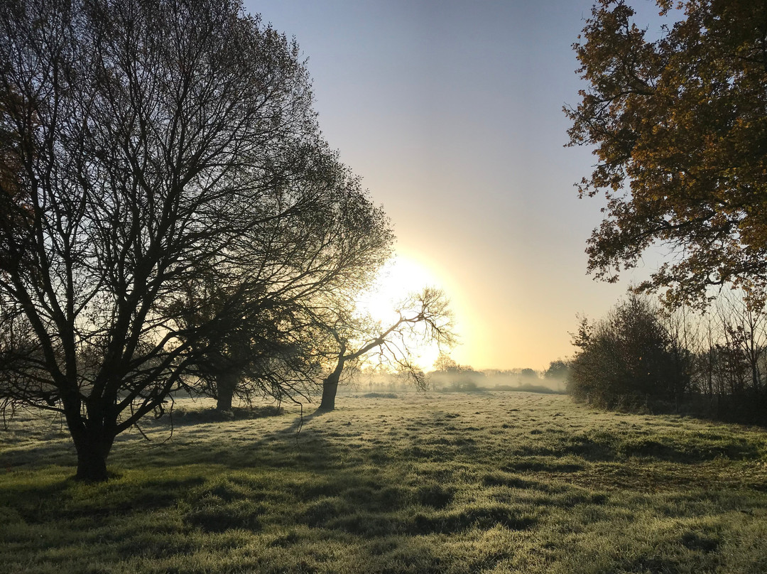 Réserve Naturelle Régionale du  Bocage Humide des Cailleries