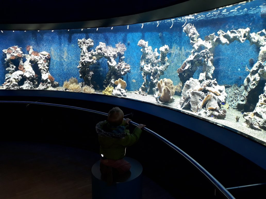 Aquazoo Loebbecke Museum