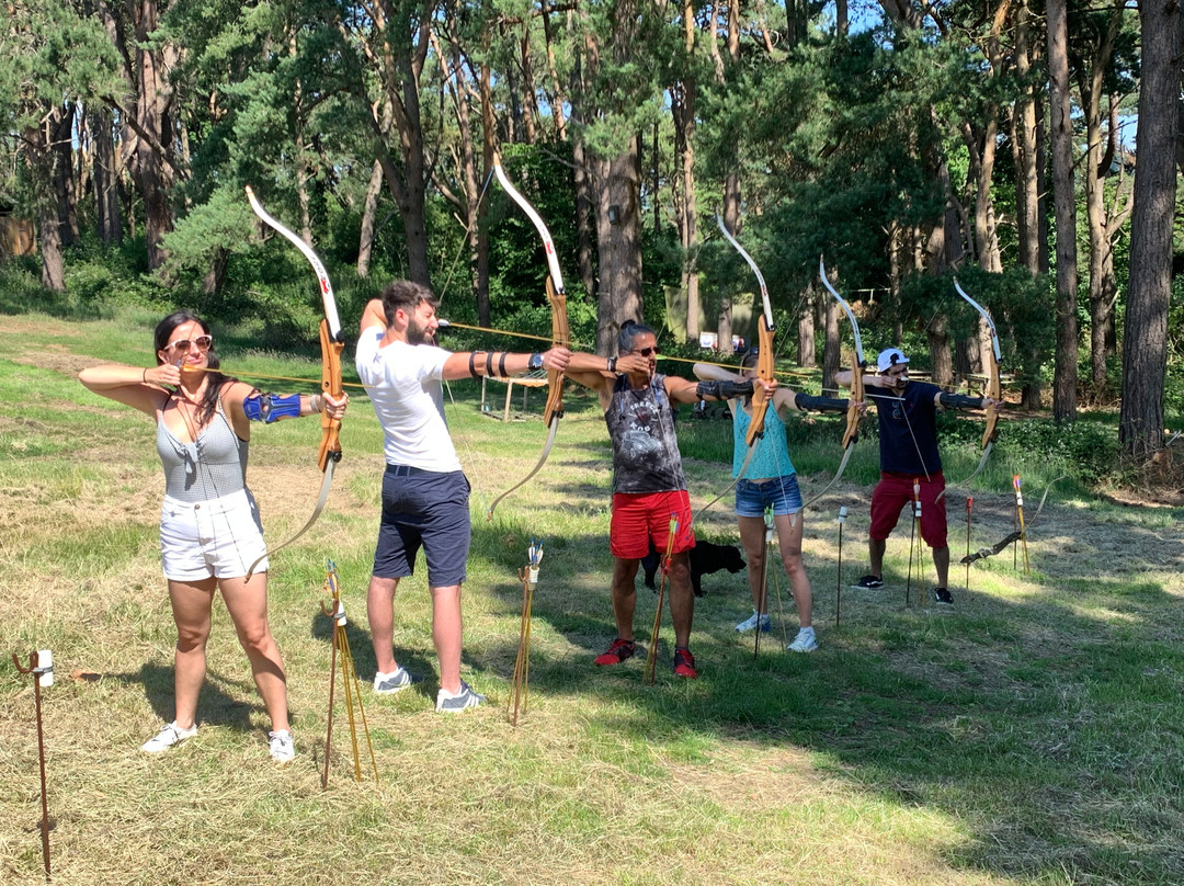 Insight Activities New Forest景点图片