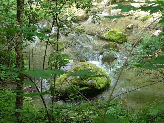 Sentier De La Truite-莫尔日必去景点