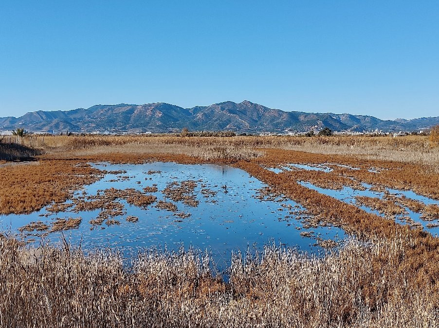 Tourist Info Nules Playa-Nules必去景点
