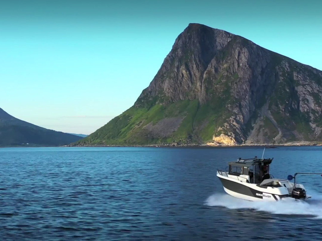 Lofoten Rorbuutleie