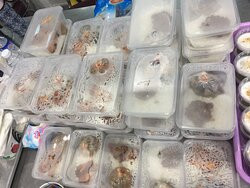 Wat Sri Iam Temple-曼谷必去景点