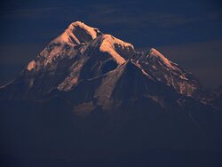 Kausani Best Inn-官方