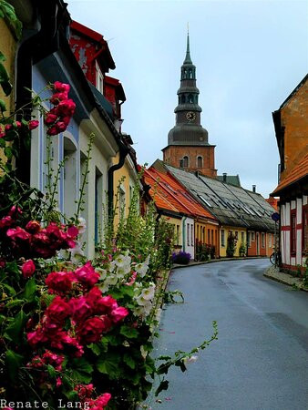 普林斯卡尔酒店主图