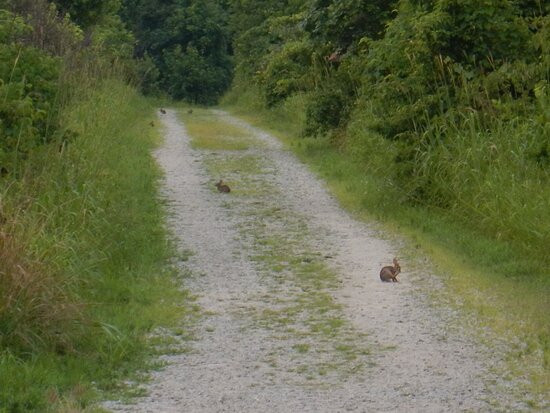 Occoquan Bay National Wildlife Refuge景点图片