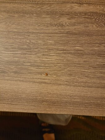 Travelodge by Wyndham Muskegon主图