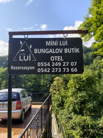 Mini Lui Bungalov主图