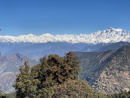 Himalaya Birding Guide景点图片