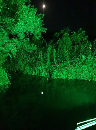 Three Palms Suites主图