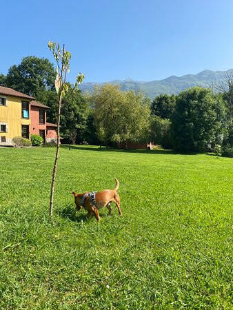 Hotel Rural La Lluriga主图