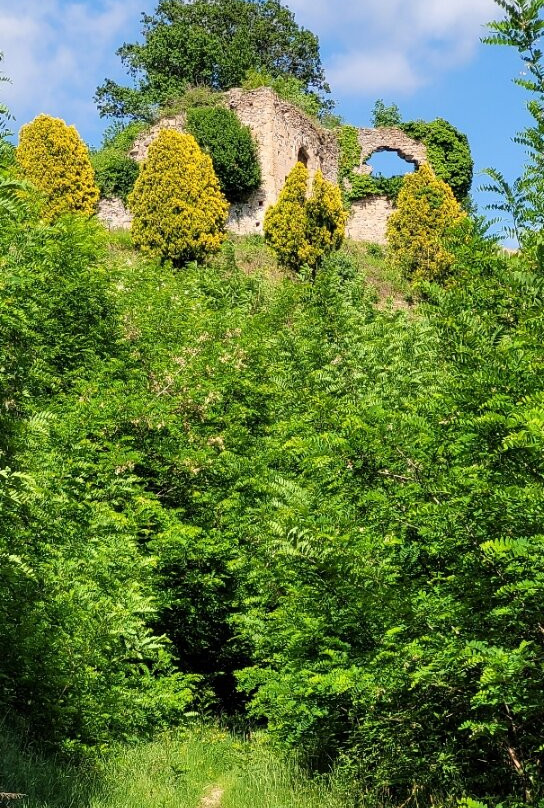 Castello di San Lorenzo景点图片