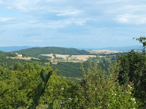 Relais Villa Sensano-酒店景观