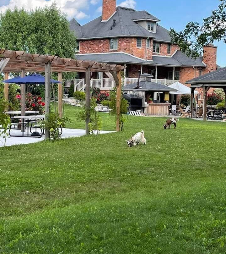 Muscedere Vineyards-Harrow必去景点