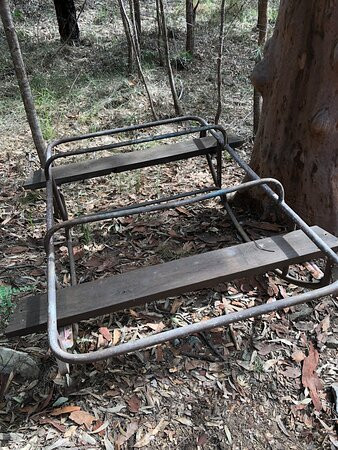 Mount Riverview Fire Trail景点图片