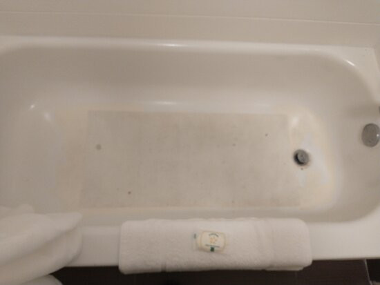 Best Western Kokomo Hotel主图