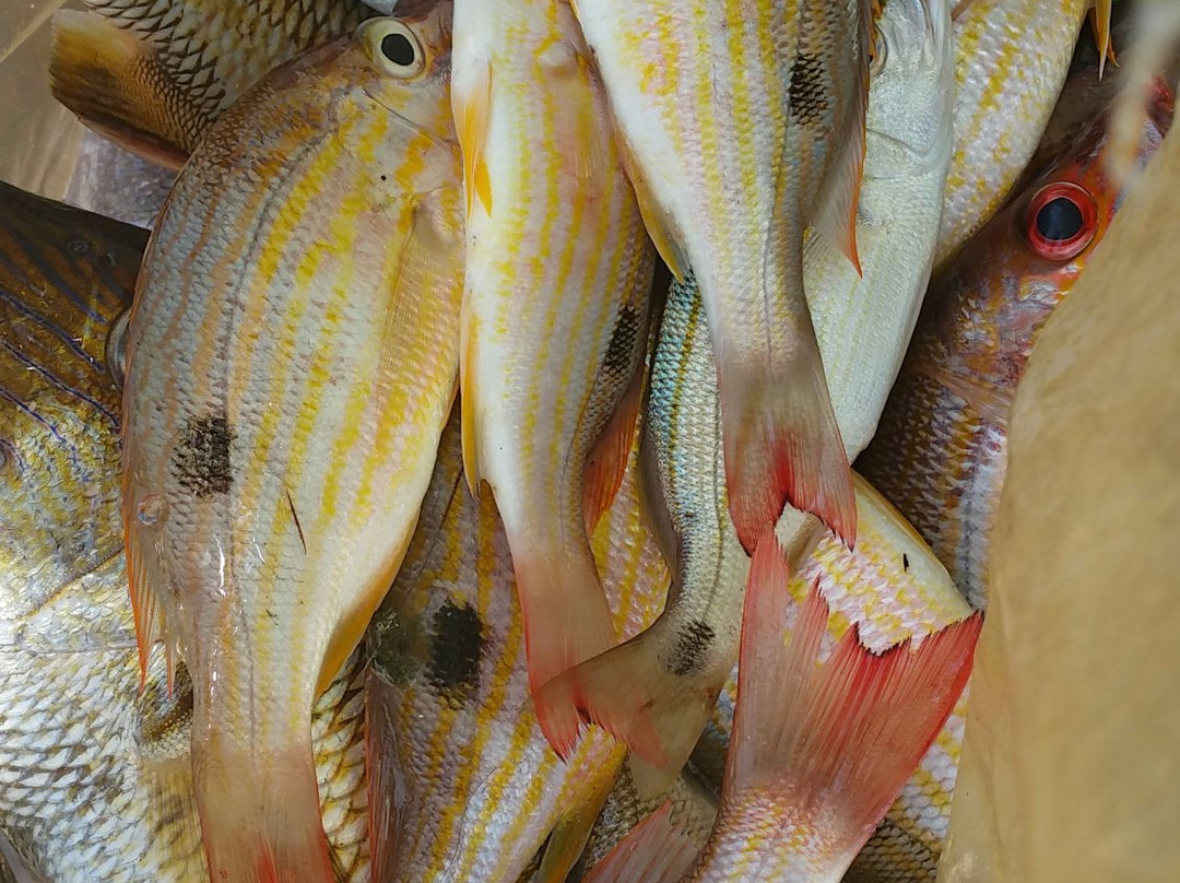 Pousada Central Madre主图