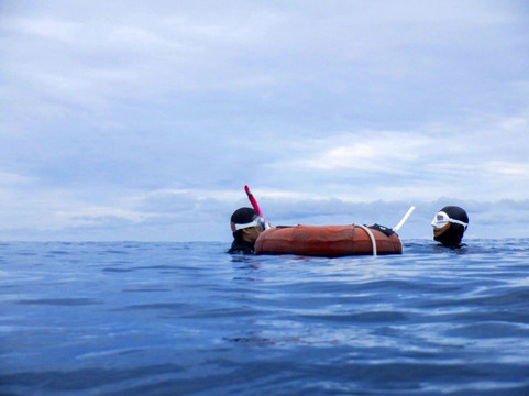 Apnea Total Hq, Freediving Thailand-涛岛必去景点