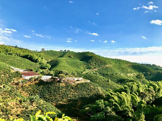 Hacienda La Mesa-Palestina必去景点