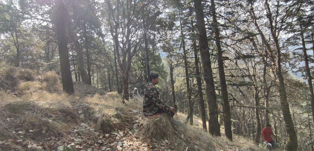 Forest Therapy India-Pangot必去景点