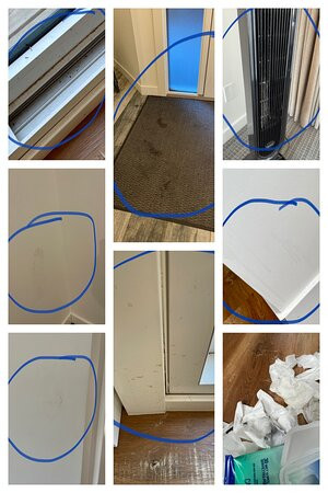 Lamphouse By Basecamp主图