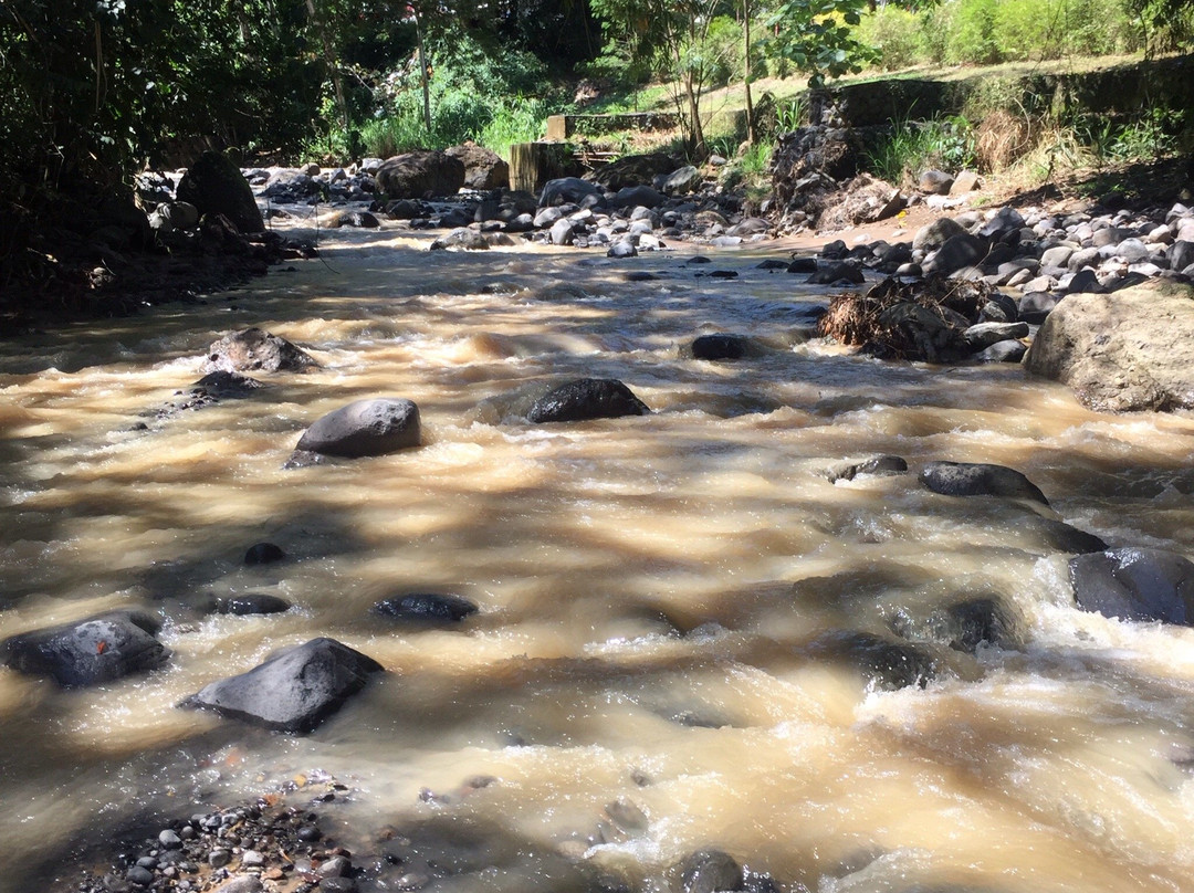 Hotel de Cauca Viejo主图
