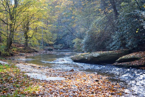 Stoney Fork Campground and B&B主图