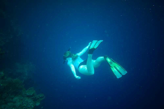 Kubuku Dive Center-佩母德兰必去景点