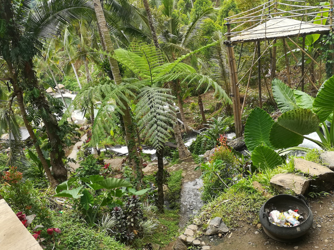 Jembong Waterfall景点图片