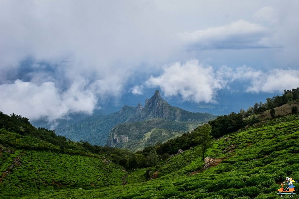 Kodanad View Point景点图片