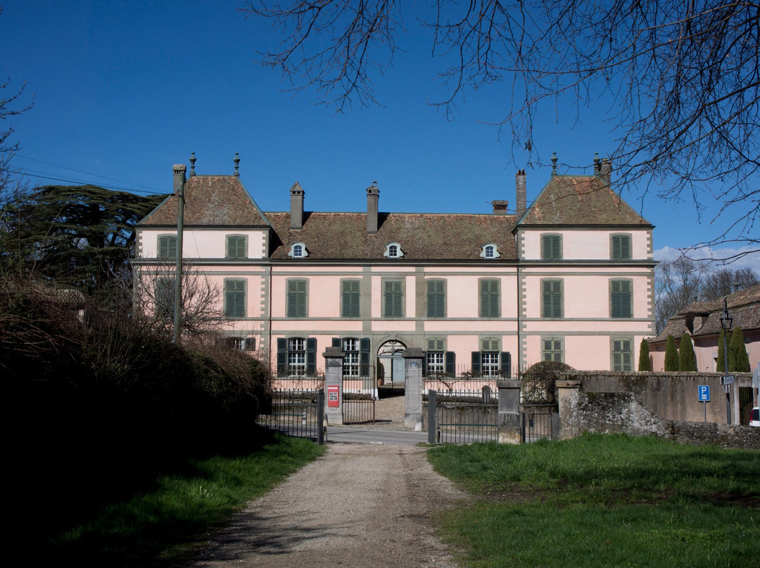 Chateau de Coppet景点图片
