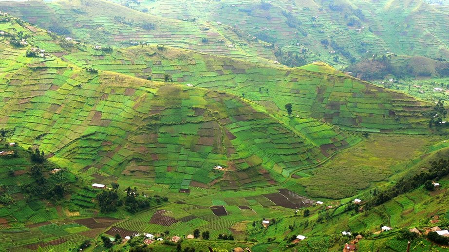 Kigezi旅游攻略图片