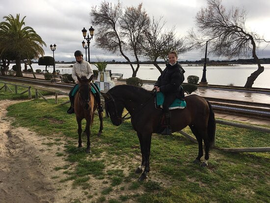 Doñana Dressage景点图片