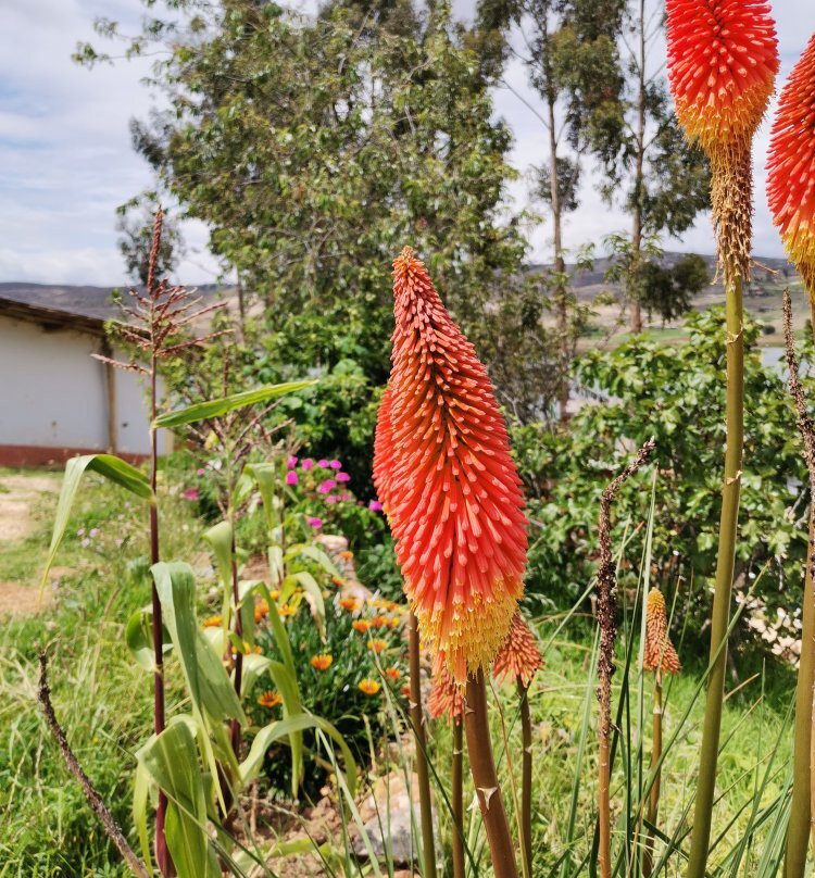 Laguna San Nicolas-卡哈马卡必去景点
