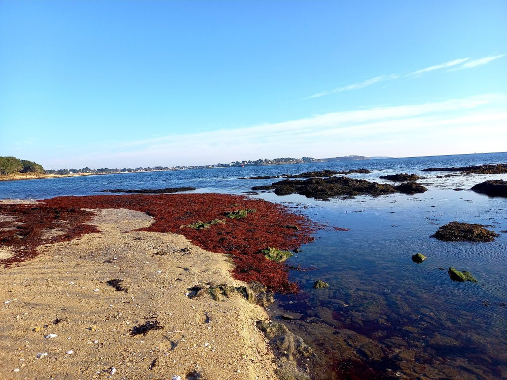 Pointe de Kerpenhir-Locmariaquer必去景点