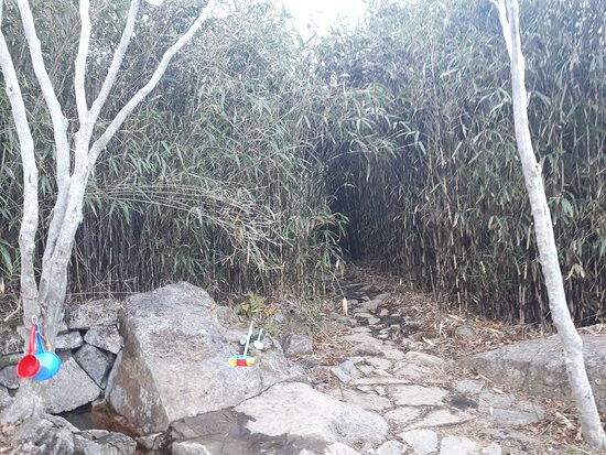 Gyeryongsan-巨济市必去景点