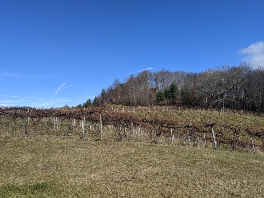 MountainRose Vineyards景点图片
