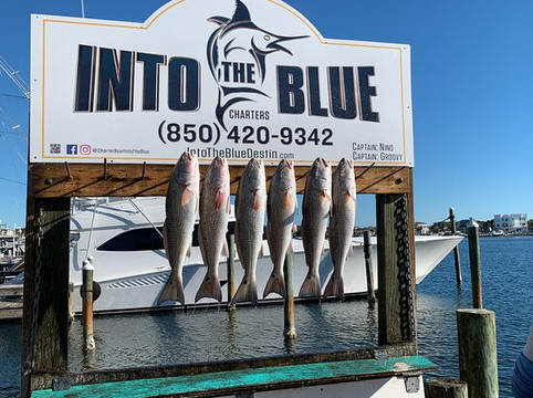 85O Charters-Miramar Beach必去景点