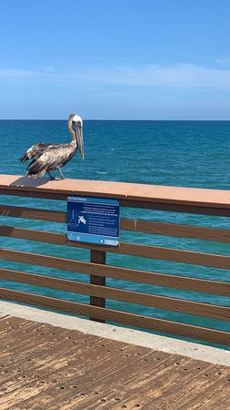 Jupiter Beach Park-朱庇特必去景点