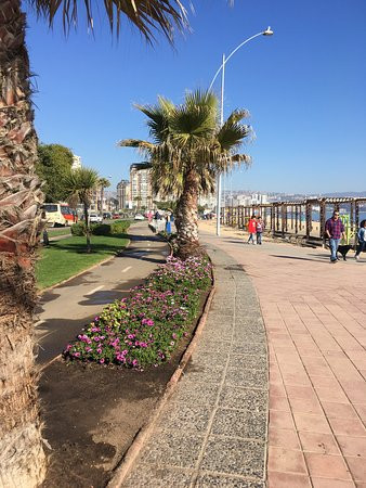 Playa Blanca-比尼亚德尔马必去景点